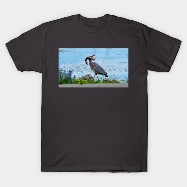 Great Blue Heron Carrying a Fish T-Shirt by BackyardBirder